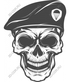 Military beret skull