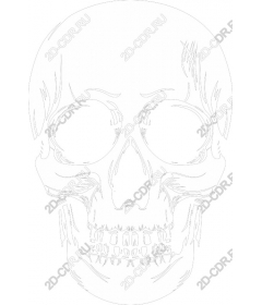 Spicy skull