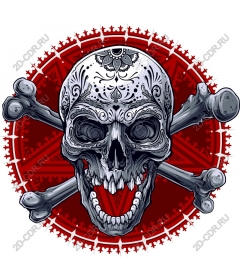  Art skull and crossbones