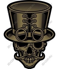 Steampunk skull in cylinder