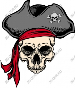 Pirate Skull