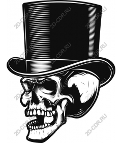 The Gothic elegance of the Skull in the cylinder