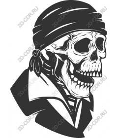  Пиратский Череп