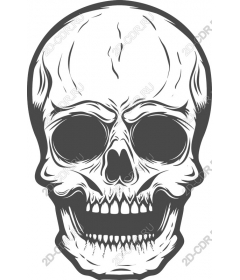 Intricate skull