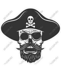 Pirate skull in hat