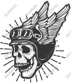 The rider with winged skull