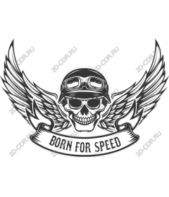 Рожденный для скорости Skull Wing