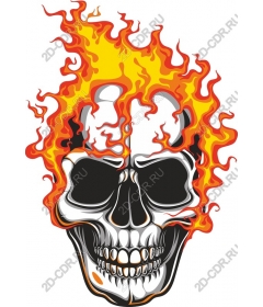  Flaming Skull