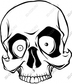  Fancy skull