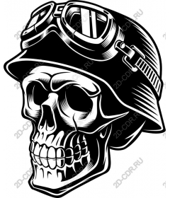 Vintage military skull