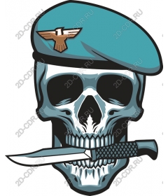  Военный череп с беретом и кинжалом