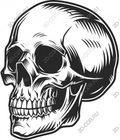  Epic skull