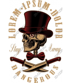 Elegant skull in hat and swords