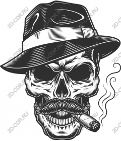 Vintage skull with a felt hat and a cigar