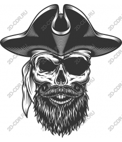 Vintage pirate skull