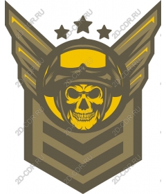  Знак отличия пилота «Череп»