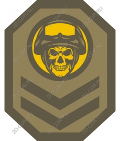  Cruel military skull