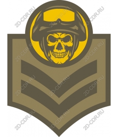  Военный знак отличия в виде черепа