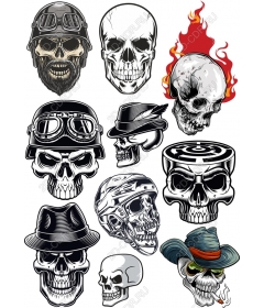The collection of skulls - 12 unique