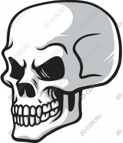 Spicy skull