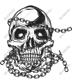  Chained skull