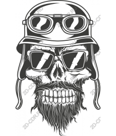 Daring skull in hat and sunglasses