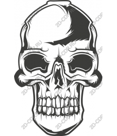 Intricate skull