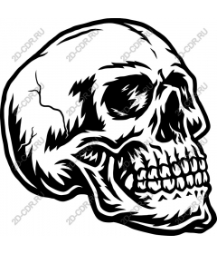  Bold Skull