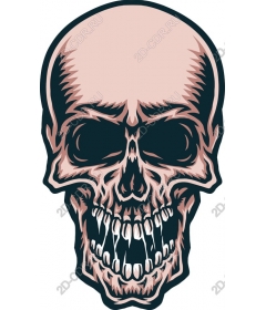  Bold Skull