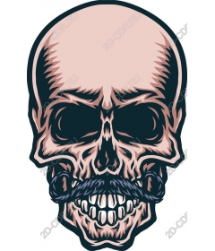  Mustached skull