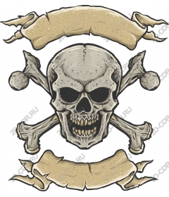  A fierce skull and crossbones