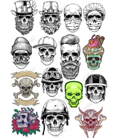 The collection of skulls - 16 unique