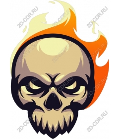  Flaming skull