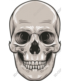 Intricate skull