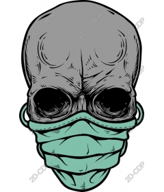  Disguised skull of a stranger