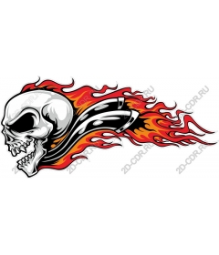  A fierce skull and flames