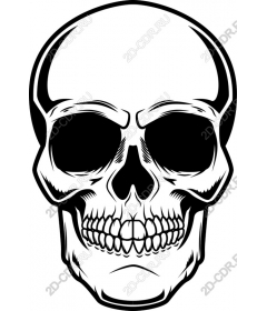 Intricate skull
