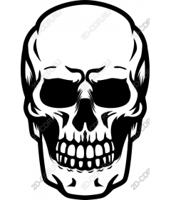  Bold Skull