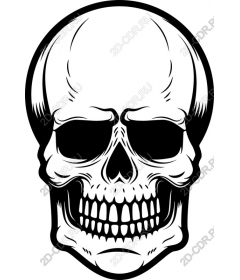  Bold Skull