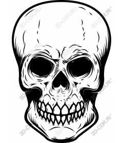 Premium Skull