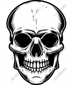  Bold Skull