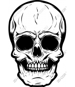 Intricate skull