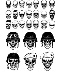 Complete set of skulls