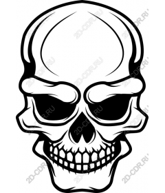 Intricate skull