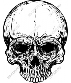 Intricate skull