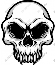 Premium Skull