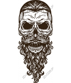Vintage skull with a beard