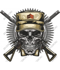  Военная эмблема черепа