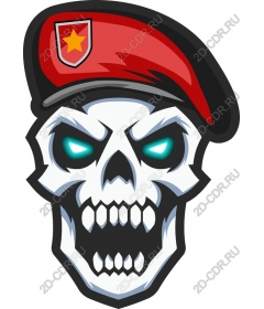  Cruel military skull