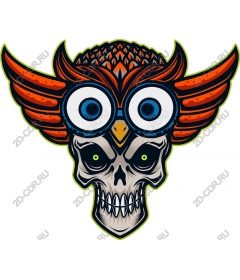 The fusion of the skull owl